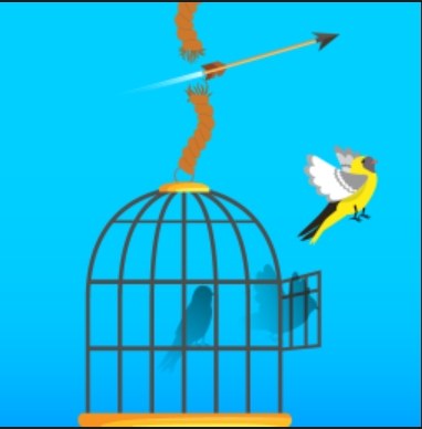 Free Birds: How to Play and Beginner Tips for Your First Flights